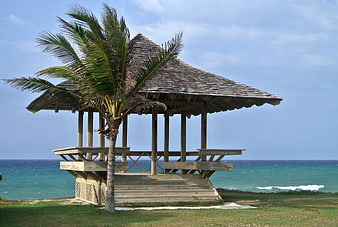 Tropical Beach Gazebo With Palm Tree And Ocean View