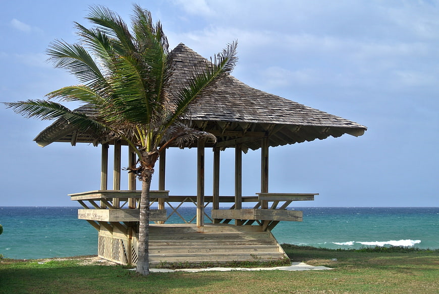 Tropical Beach Gazebo With Palm Tree And Ocean View