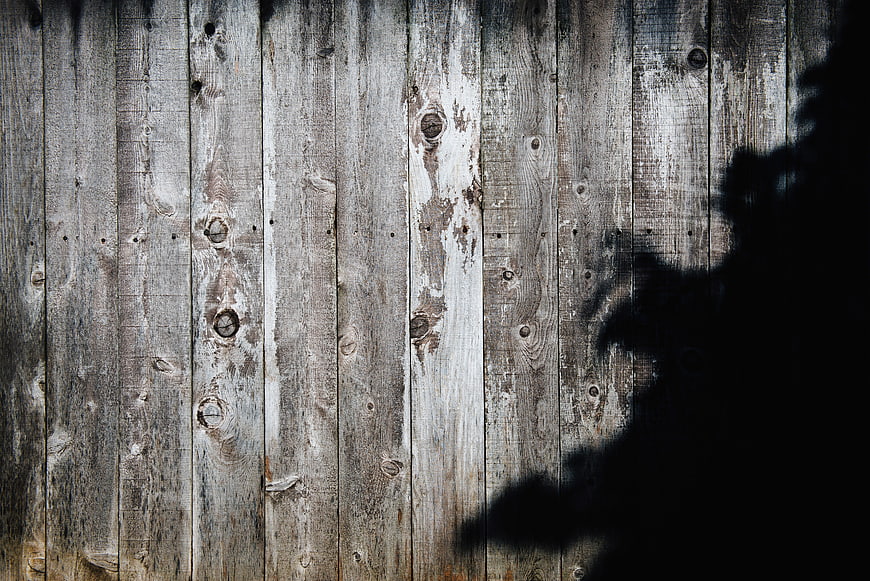 Weathered Wooden Planks with Plant Shadow Texture