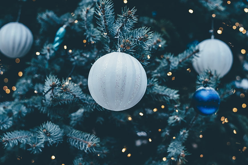 Close-up of white and blue Christmas ornaments on a pine tree
