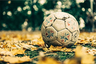 Old worn soccer ball on autumn leaves