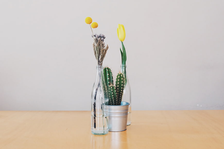 Minimalist Cactus and Yellow Tulip Arrangement in Glass Bottles