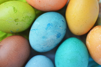 Close-up of colorful Easter eggs in a carton