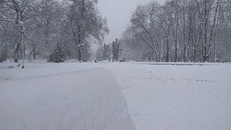 Snowy Park Pathway in Winter with Bare Trees