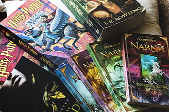 Polish Harry Potter and Narnia Books Collection