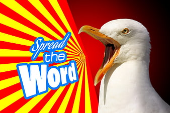 Seagull screaming with spread the word text graphic