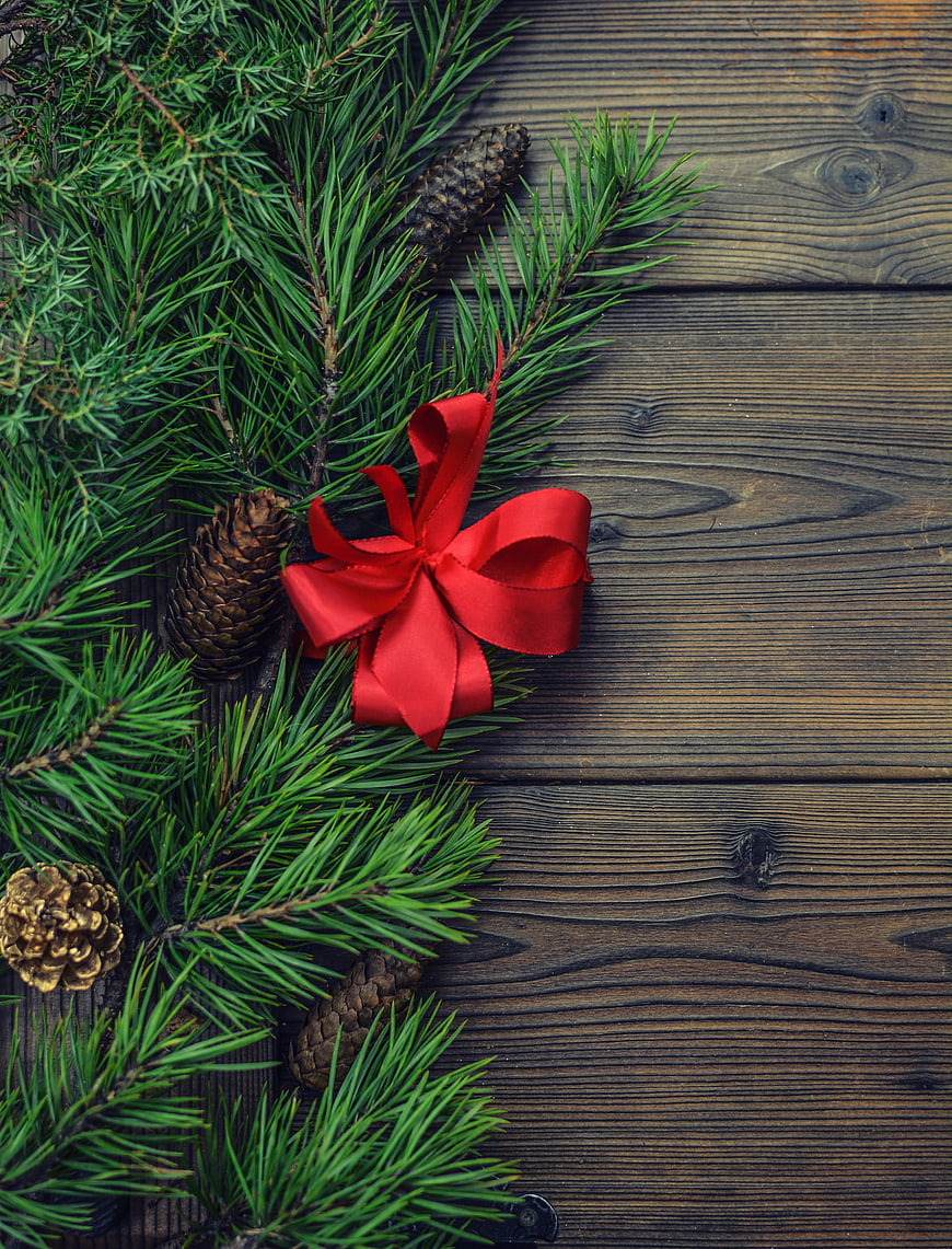 Christmas fir branches and red bow on rustic wood background