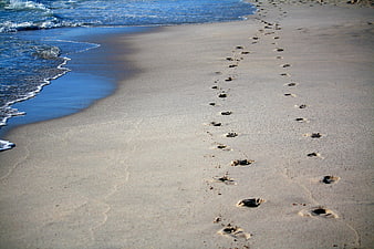 Footprints in wet sand leading to the ocean shoreline