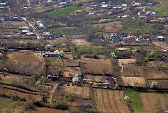Aerial view of rural village with terraced fields and blooming trees