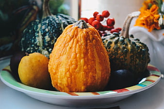 Autumn Harvest Bowl with Pumpkins and Squash