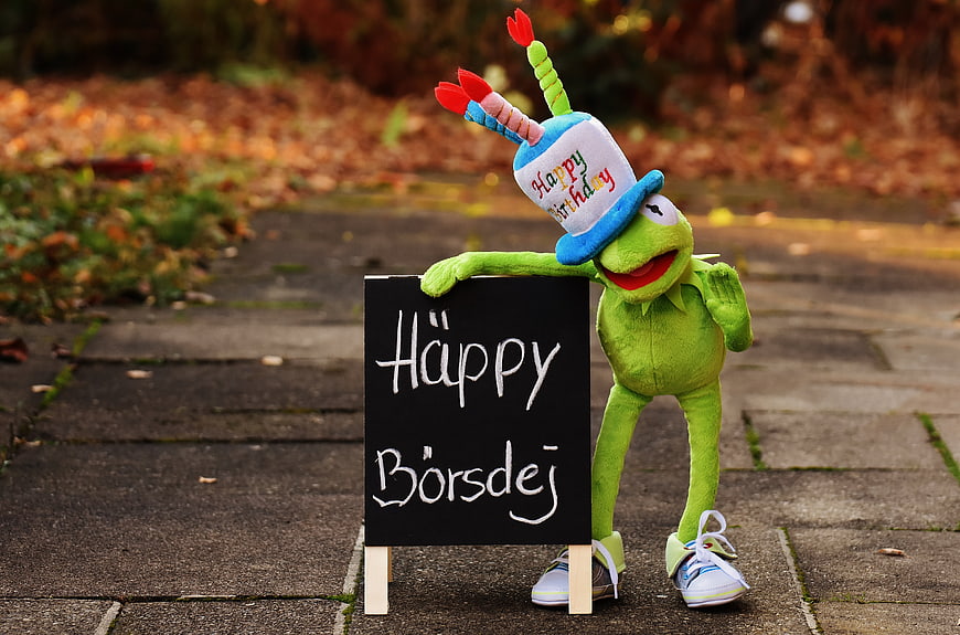 Kermit the Frog Plush with Happy Birthday Sign