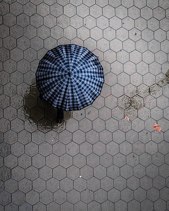 Top View of Plaid Umbrella on Wet Hexagonal Pavement