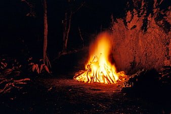 Large campfire burning at night in wilderness with people sitting nearby