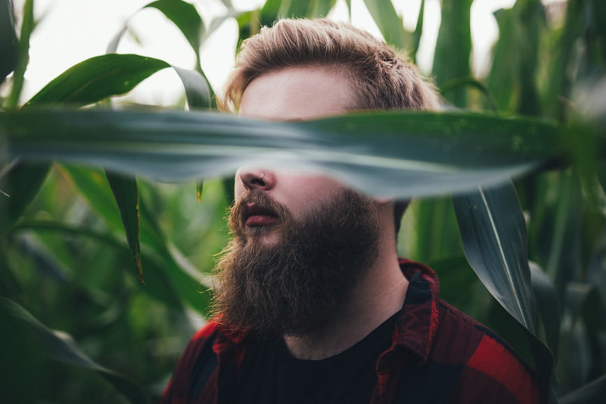 Bearded man with nose ring in cornfield