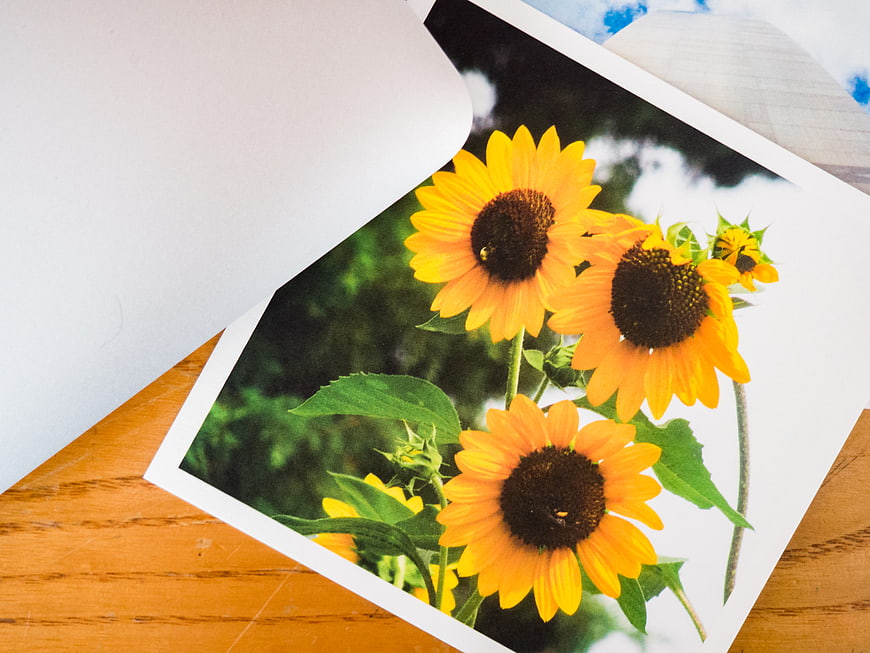 Printed Sunflower Photograph on Wooden Desk