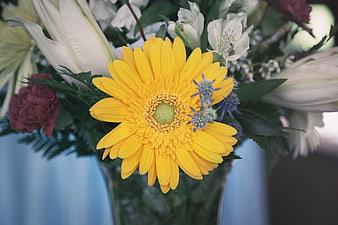 Close-up of a vibrant yellow gerbera daisy in a floral bouquet