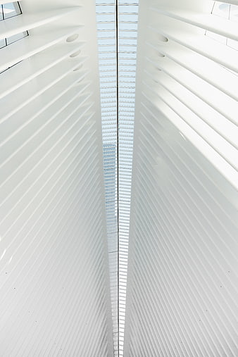 Abstract White Architectural Ceiling with Symmetrical Lines