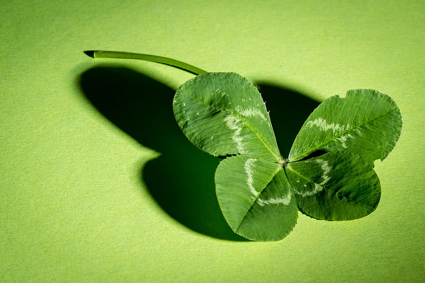 Four-leaf clover on green background with shadow
