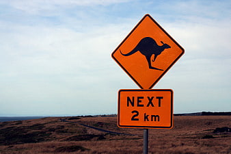 Orange Kangaroo Warning Road Sign in Australian Outback