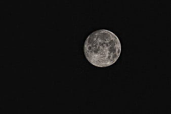 Full Moon in Dark Night Sky with Craters