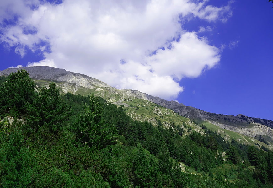 Scenic mountain landscape with green forest and blue sky