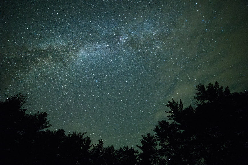 Milky Way Galaxy Over Silhouetted Pine Trees at Night