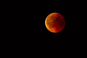 Blood Moon Lunar Eclipse Against Black Night Sky