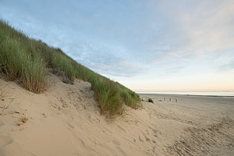 Sandy dunes with beach grass overlooking calm ocean at sunset
