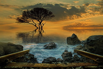 Silhouette of tree in water at sunset with railway tracks