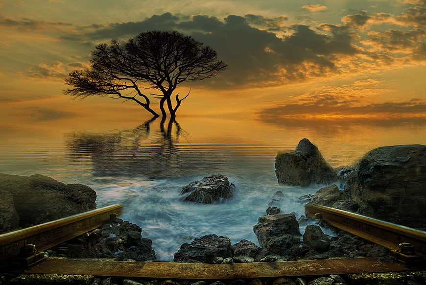 Silhouette of tree in water at sunset with railway tracks