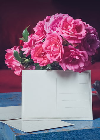 Pink Roses Behind Blank Postcard On Blue Wooden Table