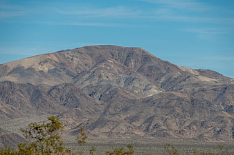 Arid desert mountain range with blue sky and foreground vegetation