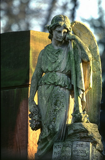Weathered Stone Angel Statue In Cemetery With Polish Inscription