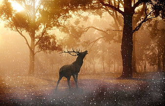 Majestic Stag Bellowing in Golden Misty Forest