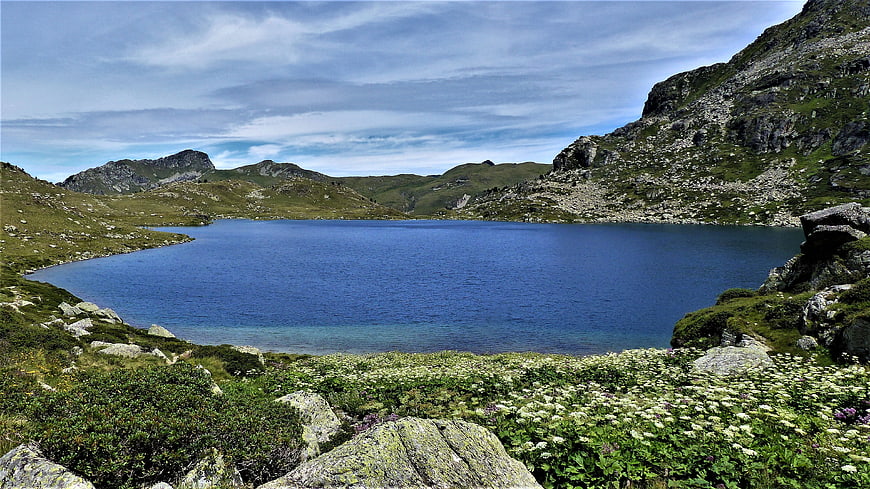 Serene Alpine Lake Surrounded by Green Mountains and Wildflowers