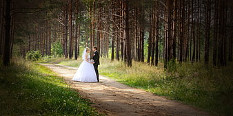 Bride and groom standing on a forest path in a pine tree landscape