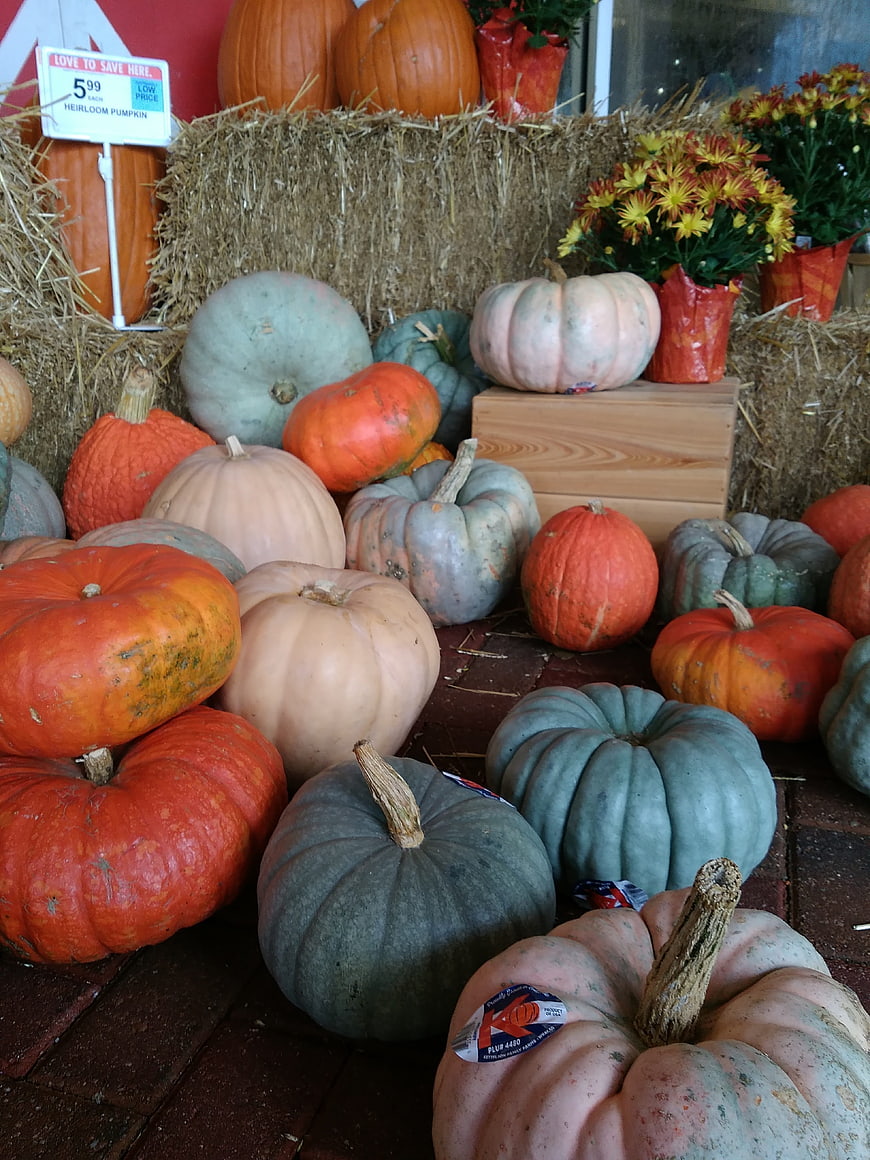 Colorful Heirloom Pumpkins and Hay Bales Autumn Display