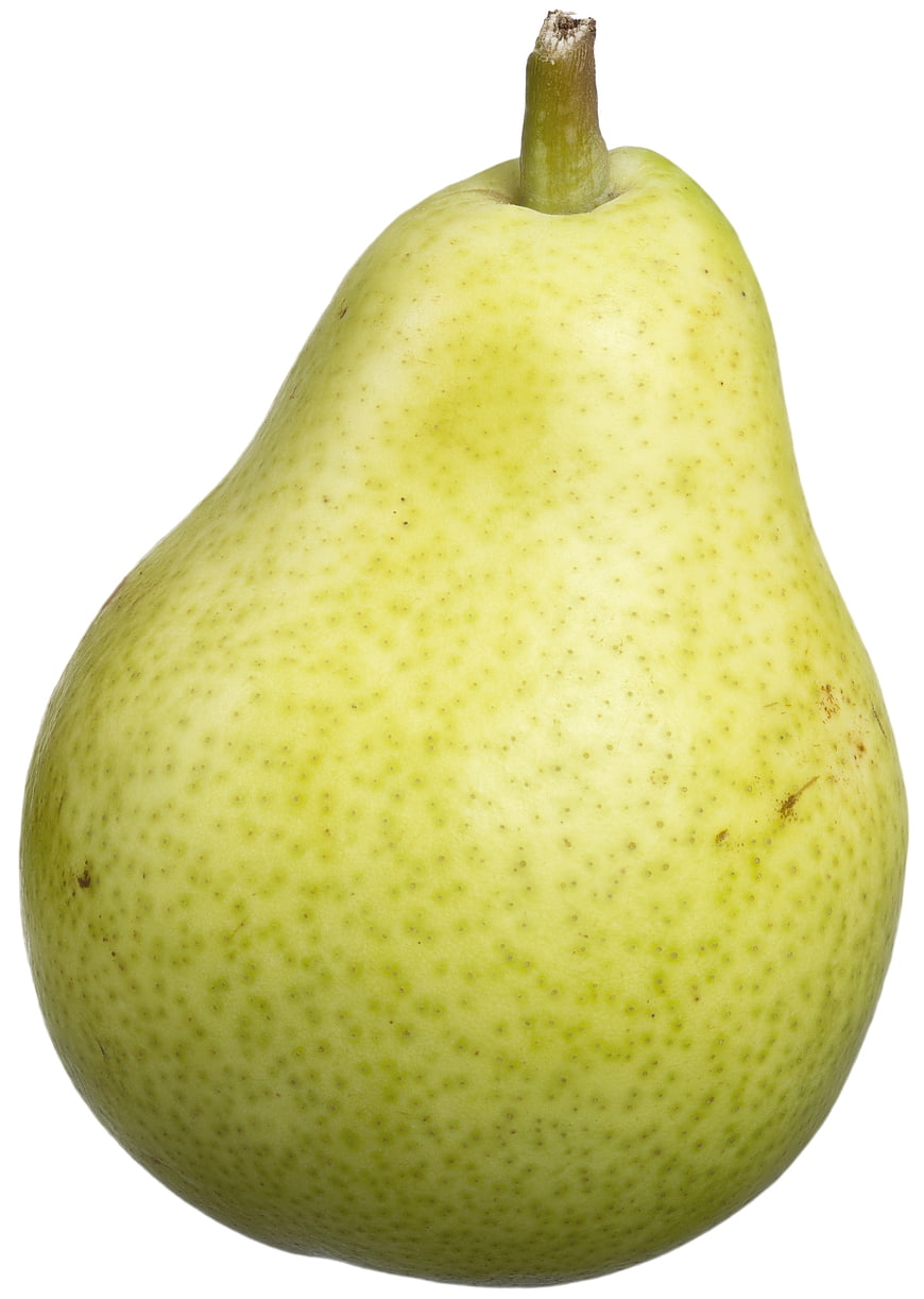 Single ripe Bartlett pear isolated on a clean white background