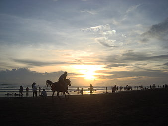 Silhouette of horse rider on beach at sunset
