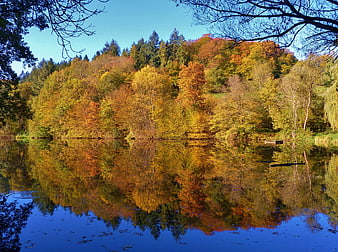 Vibrant autumn forest reflection in calm lake water