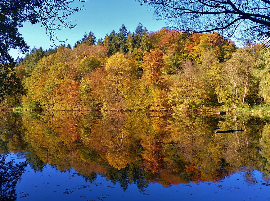 Vibrant autumn forest reflection in calm lake water