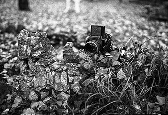 Vintage Mamiya 645 Film Camera on Stone Ruins