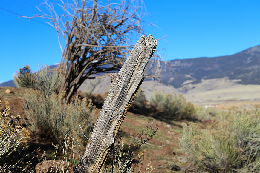 Weathered wooden post in arid desert landscape with blue sky