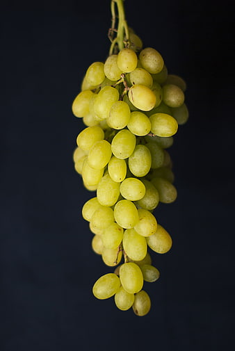 Fresh Green Grapes Hanging on a Dark Background