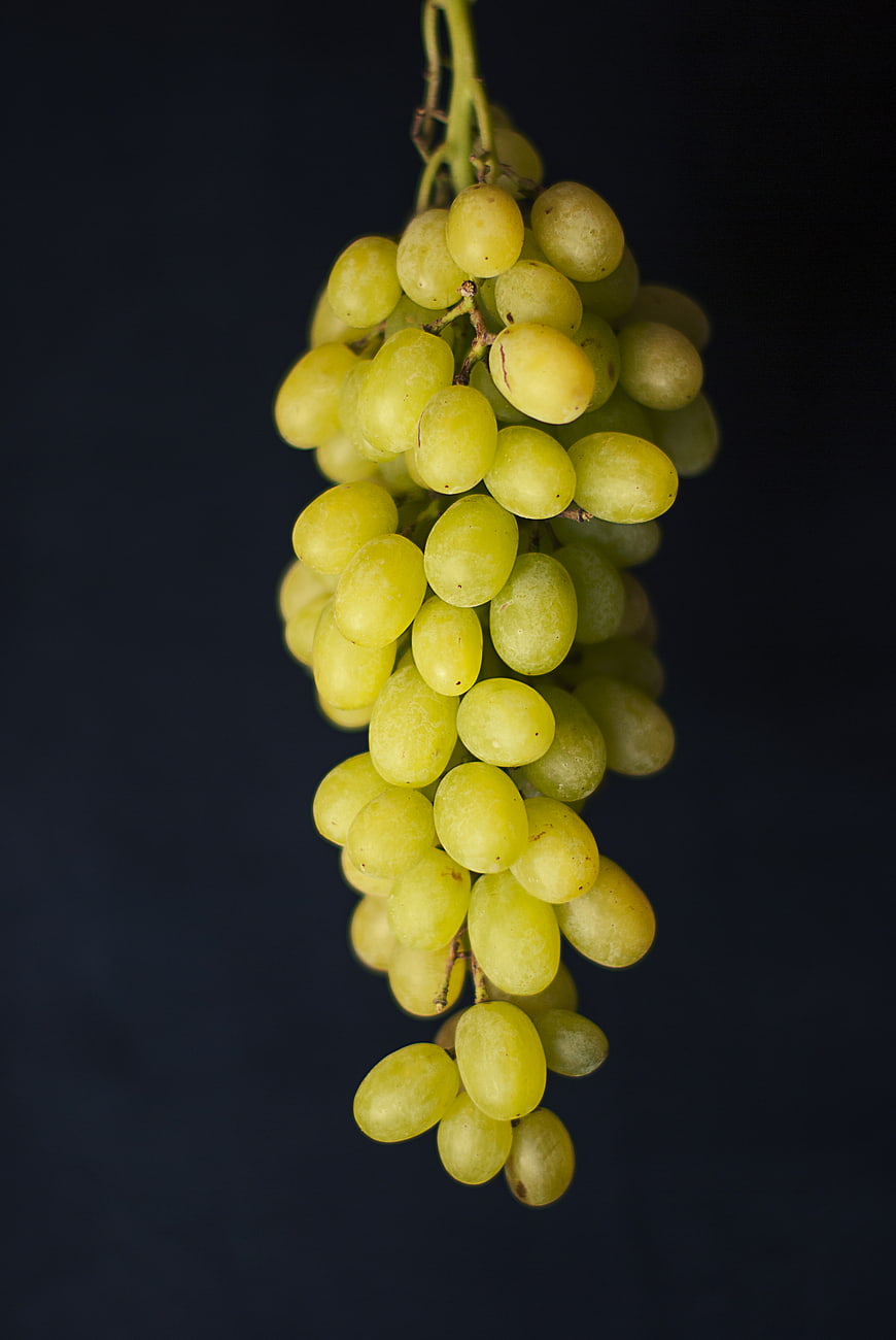 Fresh Green Grapes Hanging on a Dark Background