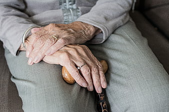 Close-up of elderly woman's hands holding a wooden walking stick