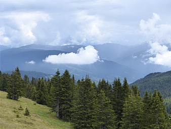 Misty Mountain Landscape with Pine Forest and Clouds