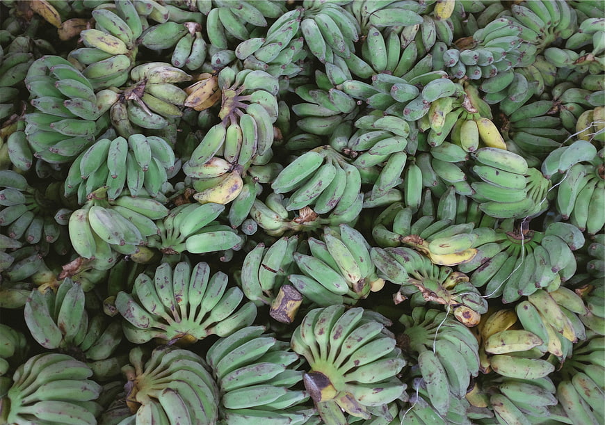 Top view of green plantain bunches at a market