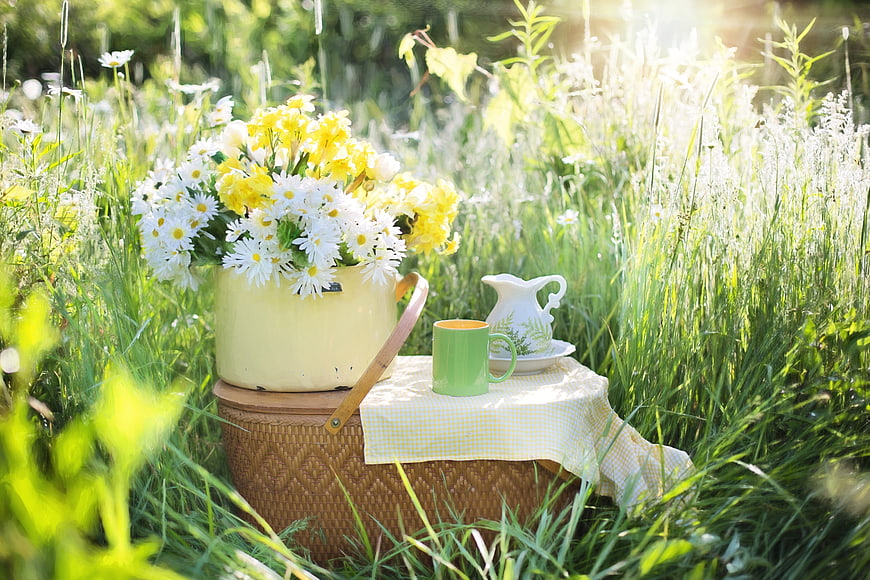 Summer picnic setup with daisies and tea in a sunny meadow