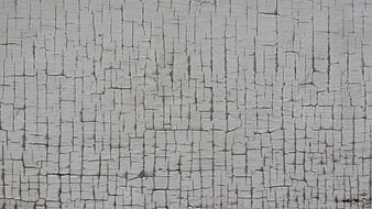 Close-up of cracked white paint texture on weathered wood